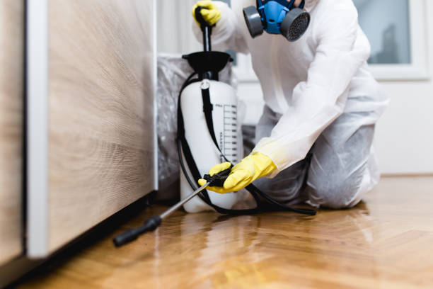 Best Pest Removal Services  in Caryville, TN