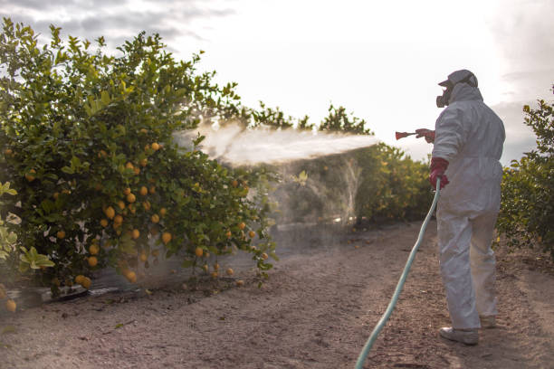 Best Pest Control Near Me  in Caryville, TN