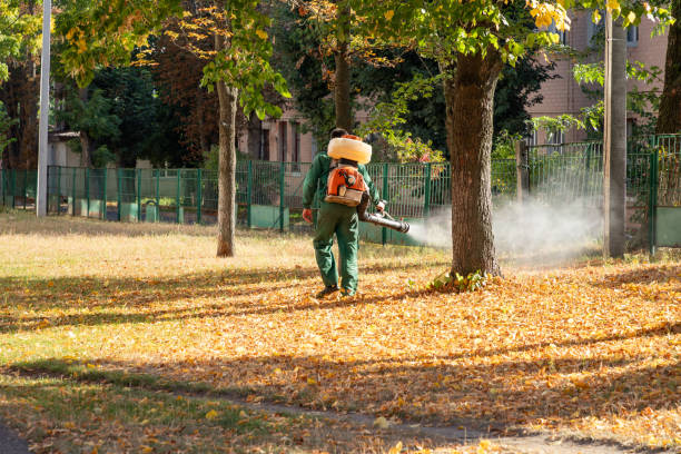 Best Local Pest Control Services  in Caryville, TN