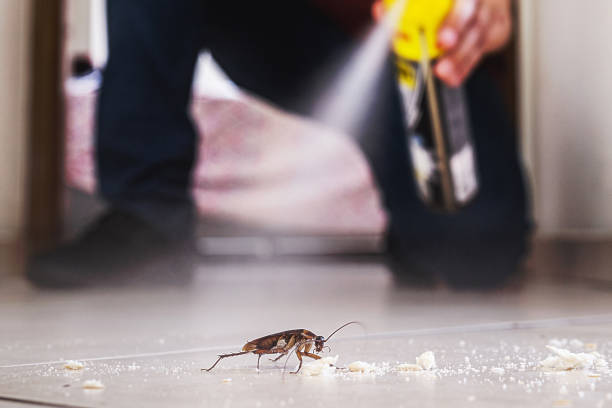 Best Pest Prevention Services  in Caryville, TN
