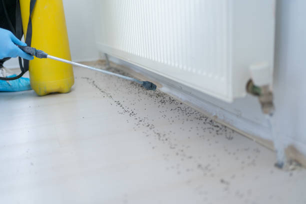 Best Best Pest Control Companies  in Caryville, TN
