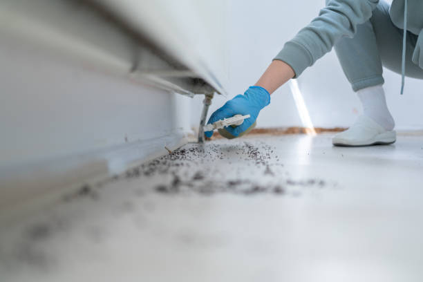 Best Ant Control Services  in Caryville, TN